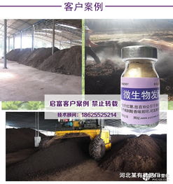 生物炭腐植酸显著降低猪粪堆肥重金属活性