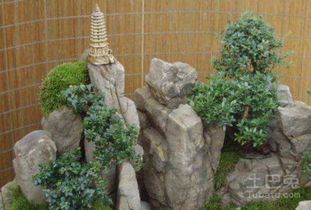 二、选材与设计