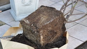 Zui佳时间，你选对了吗？