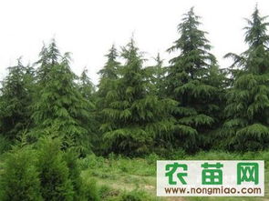 个人喜好，价值不同