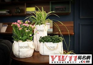 植物或花朵取名之道