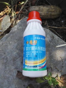除草剂：是杀草还是杀种子？