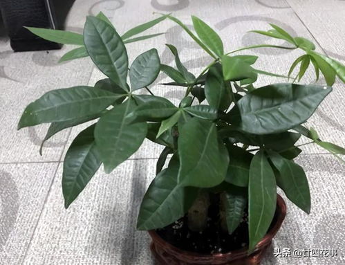 冻伤的判断与处理