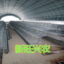 养猪场暖棚防寒除湿，创新技术保养殖环境