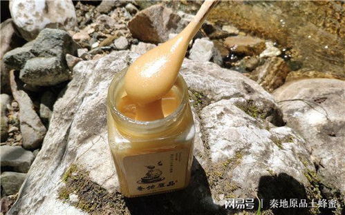 “种子储存技巧，如何延长保质期