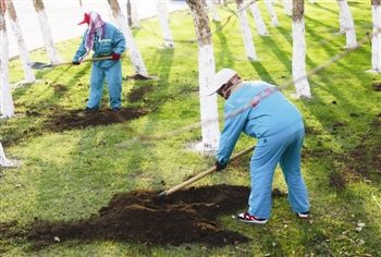 浇水也有讲究，三部曲来帮忙