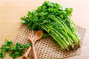 香菜清热解毒，你了解它还有哪些神奇功效吗