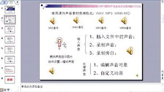 槟榔高效种植技术与管理策略：视频教程大揭秘