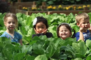 撒农药的正确姿势