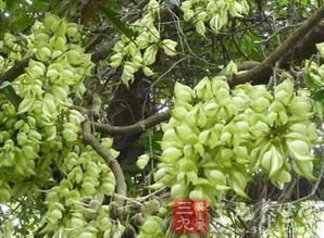 温度控制三大流派：哪一种才是你的菜？