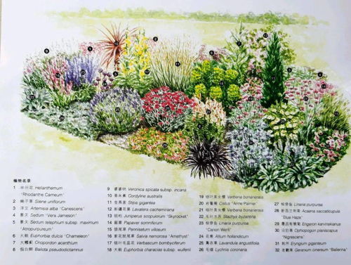 特殊构造， 抵御暴雨