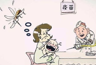 疫苗过敏原致猪不适，预防关键在疫苗选择与接种管理