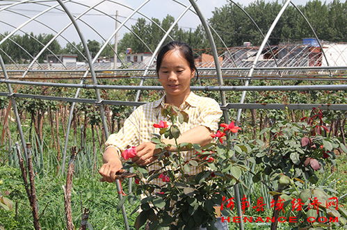 遭变故弱女子独撑一个家