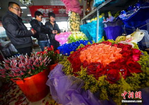 对比三大渠道价格