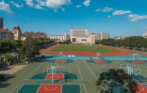 排名之争，哪家强？