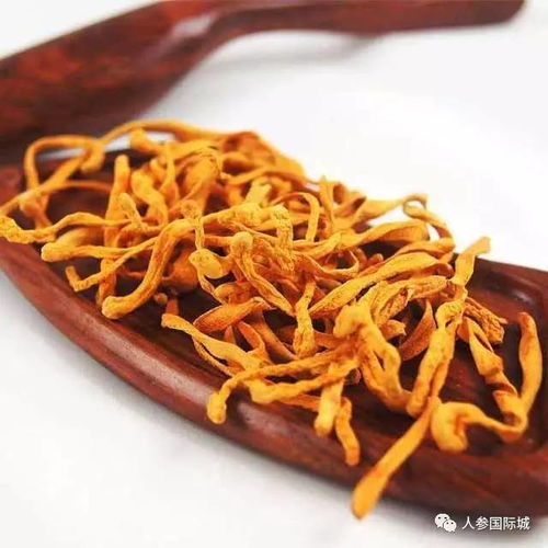 虫草花功效强大，你知道具体有哪些吗