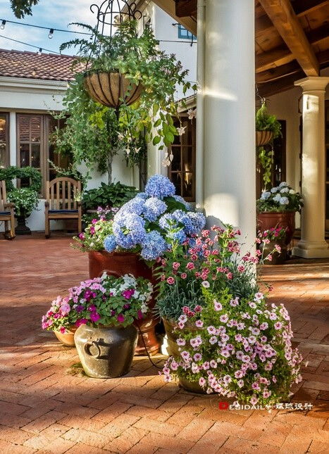 如何打造绿意家园：室内绿植布局全攻略