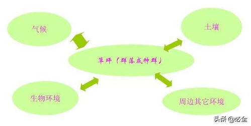 科学修剪：保持健康