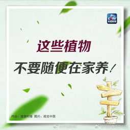 植物的自保秘籍：如何应对外界威胁？