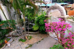 庭院养花，享受大自然的美好