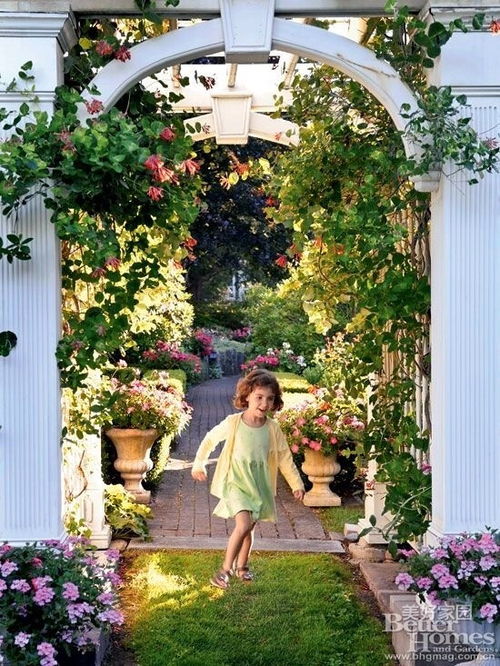 花儿的选择：牡丹与芍药