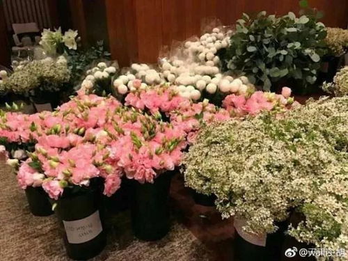 桔梗花的花语中，传递永恒的爱情与希望