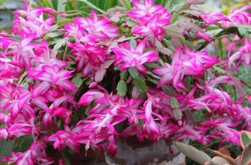 温度控制， 就像恋爱中的温度计