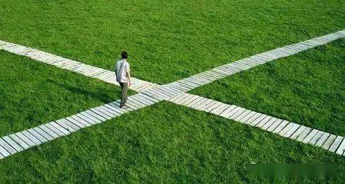 如何挑选耐活低维护的植物，让车库前空地既实用又美观？