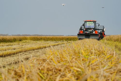 中国农业正面临转型升级，从传统种植向现代化、智能化、绿色化发展