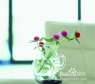 石榴花风水有什么秘密？如何运用石榴花改善家居风水