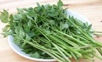 水芹菜种植技术哪家强？老菜农教你种水芹