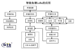 如何通过水质调控和智能监测实现高效管理鱼塘？