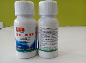 生姜苗后除草有讲究