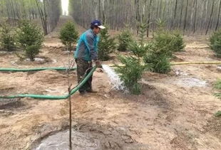 错误10：深根施肥的误区