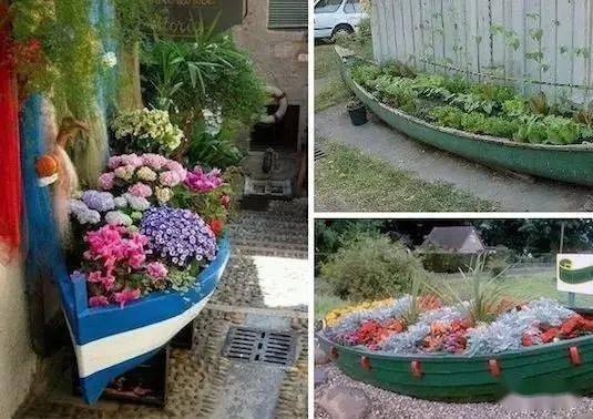 阳台种花耐湿热秘籍大公开