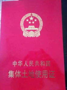 品牌农药登记证号了解一下