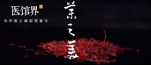 梧桐花开半边天美得惊心动魄
