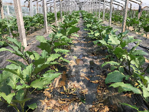 混合顺序， 得记牢