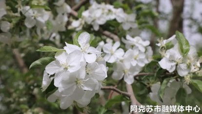 农业科技新方法