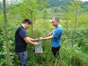 水库里有些什么植物呢？