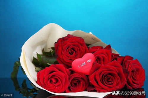 玫瑰情人节送，哪种花最浪漫