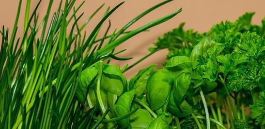 种植记录里的秘密