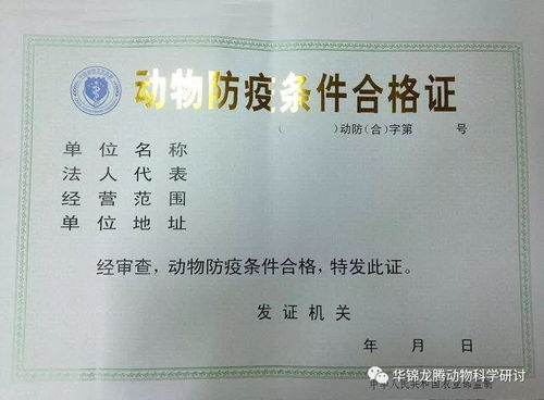 如何根据养猪补贴饲料申请，正确完成生猪养殖补助的申请程序？