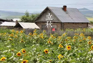 二十四节气里的一月