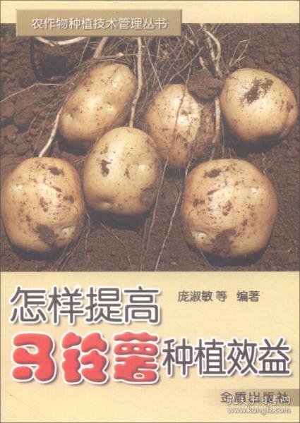 刘合英创新山药加工技术，将山药变身为高附加值产品
