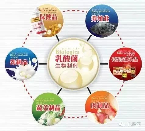 微生态技术在畜牧养殖领域的应用日益广泛