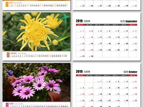 朋友夸我是个爱花的优雅女子， 我却炫耀似地把刚拍的图片展示给了年长我十几岁的一位忘年知己