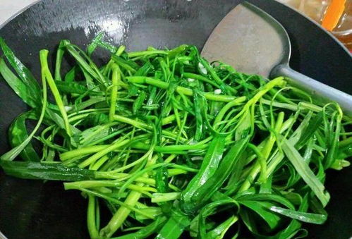 艾蒿的功效与作用有哪些？看完这篇你就全知道啦