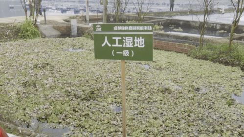 绿色循环，高效生态养殖