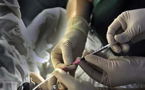 秀妍繁殖：一种以人工授精为主